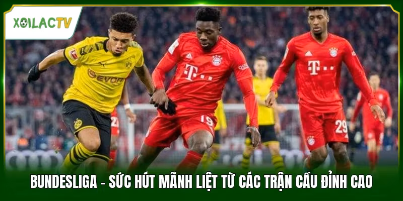 Bundesliga - Sức Hút Mãnh Liệt Từ Các Trận Cầu Đỉnh Cao