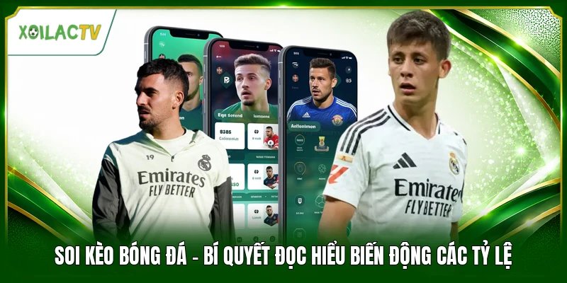 Soi Kèo Bóng Đá - Bí Quyết Đọc Hiểu Biến Động Các Tỷ Lệ