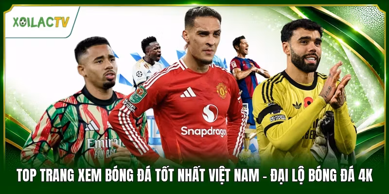 Top Trang Xem Bóng Đá Tốt Nhất Việt Nam – Đại Lộ Bóng Đá 4K