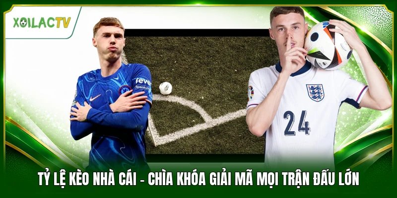 Tỷ Lệ Kèo Nhà Cái - Chìa Khóa Giải Mã Mọi Trận Đấu Lớn